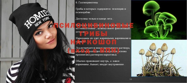mdpv Верея