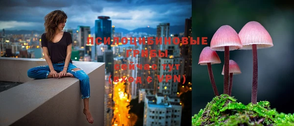 mdpv Верхний Тагил