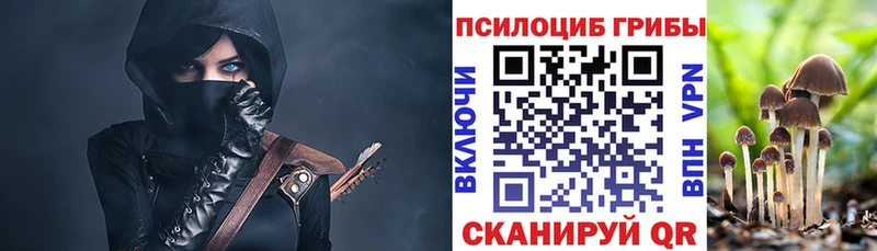 продажа наркотиков  Новая Усмань  Галлюциногенные грибы Magic Shrooms 